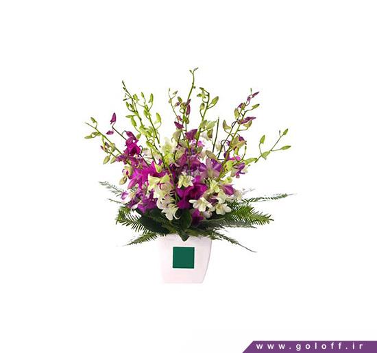 مدل جعبه گل - جعبه گل دریاناز - Daryanaz | گل آف